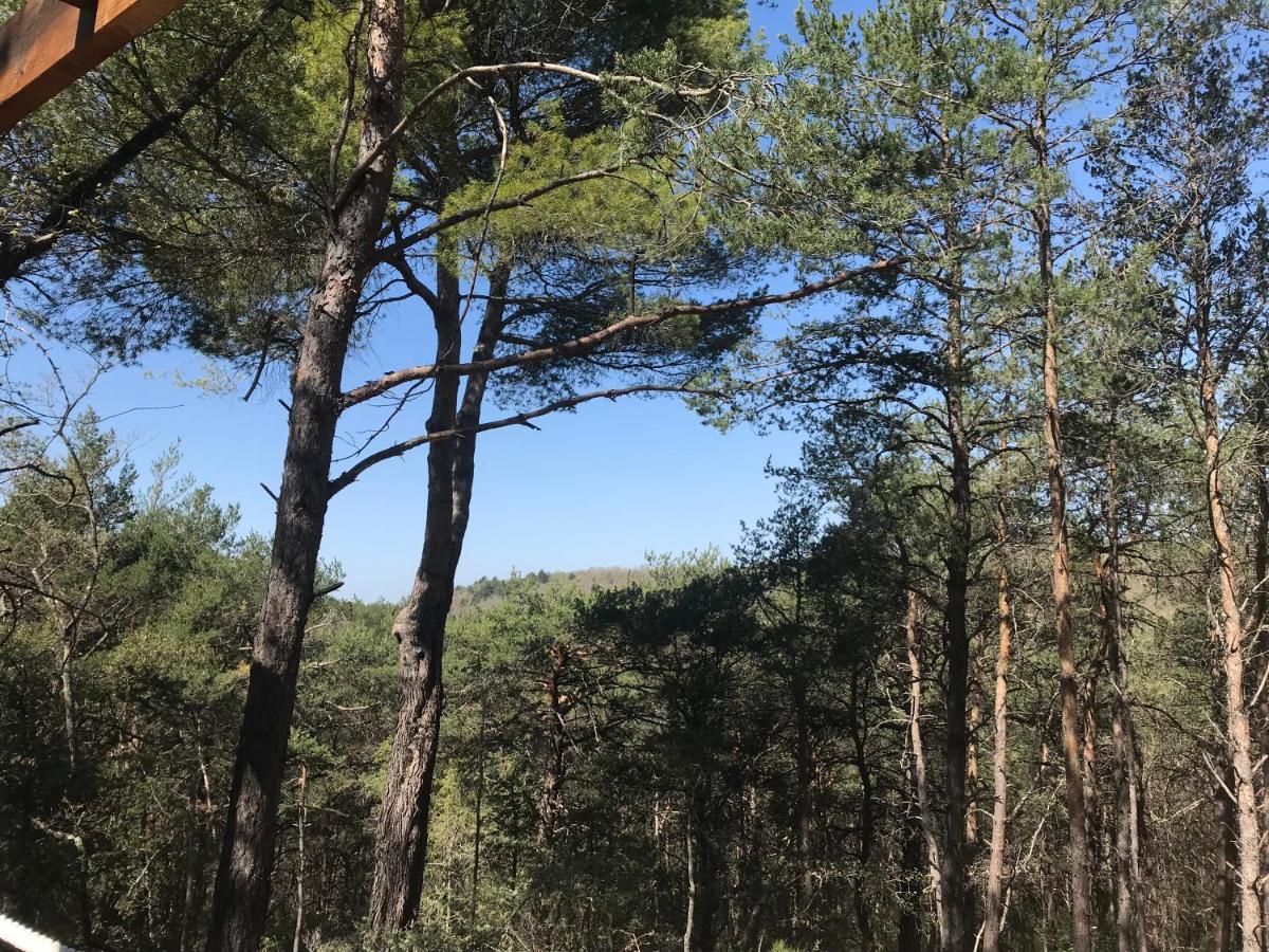 Admirez La Nature, Sejourner Differemment ! Montagnac  Dış mekan fotoğraf